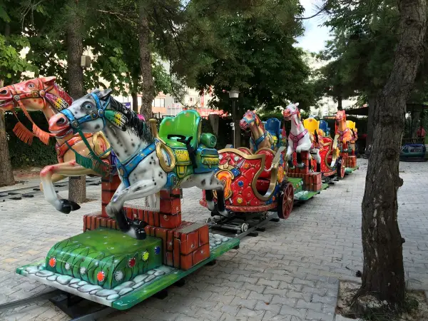 Horse Train