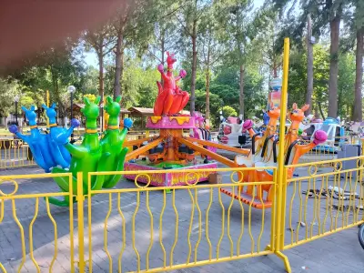Kangaroo