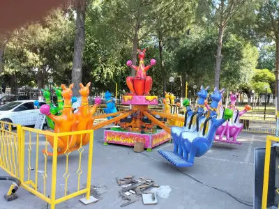 Kangaroo