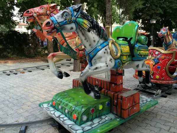 Horse Train