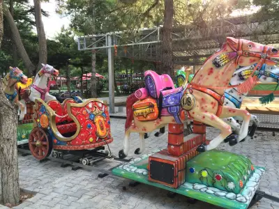 Horse Train