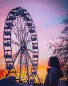 Ferris Wheel 32