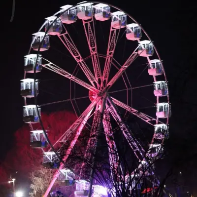 Ferris Wheel 32