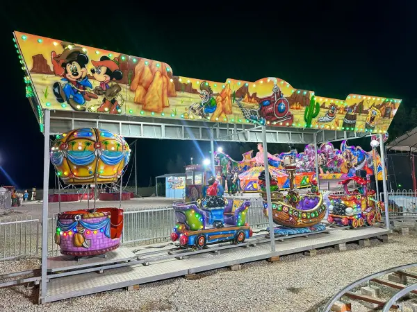 Mini Train