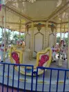 Carousel 6.0