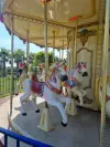 Carousel 6.0