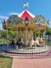 Carousel 6.0