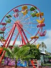 Ferris Wheel 16