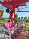 Ferris Wheel 16