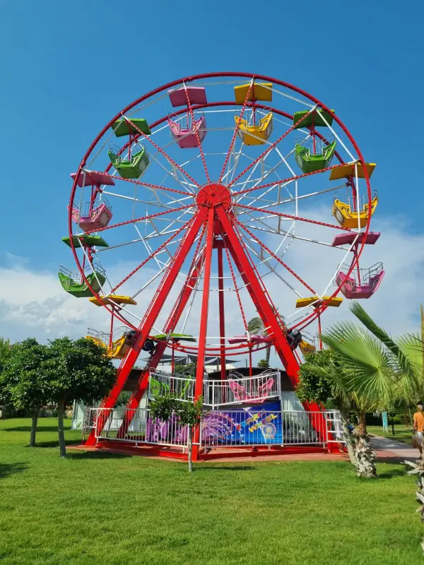 Ferris Wheel 16