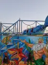 Shark Coaster
