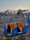 Shark Coaster
