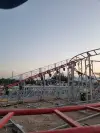 Shark Coaster