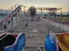 Shark Coaster