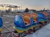 Shark Coaster