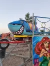 Shark Coaster