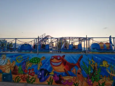 Shark Coaster
