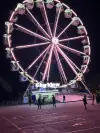 Ferris Wheel 32