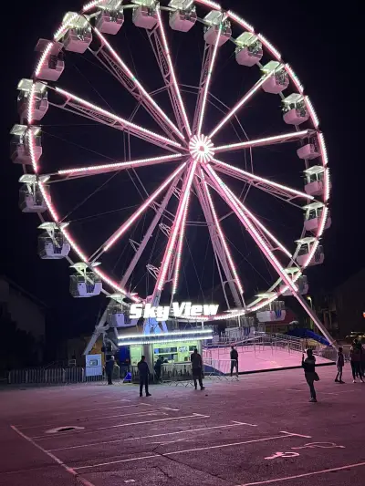 Ferris Wheel 32