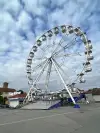 Ferris Wheel 32
