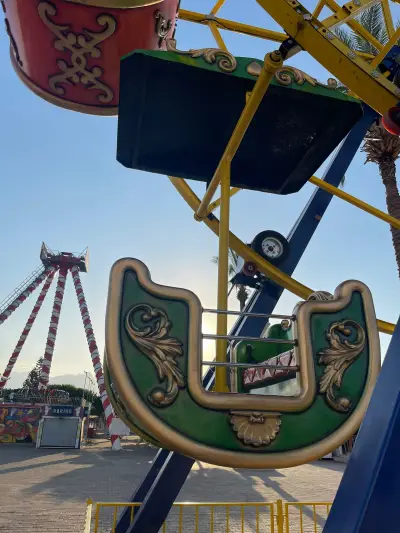 Ferris Wheel 9