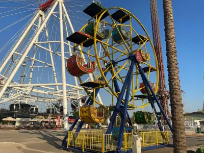 Ferris Wheel 9