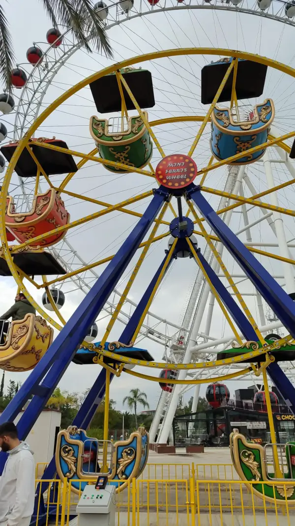 Ferris Wheel 9